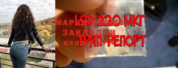 дмт Алексеевка