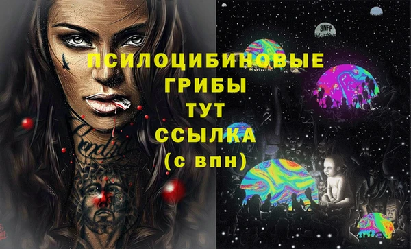 гидропоника Алексин