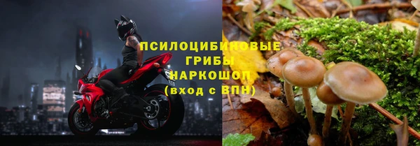 MESCALINE Алзамай