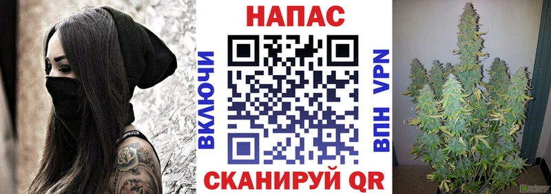 купить наркоту  Северская  Бошки Шишки план 